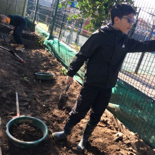 Year 6 Forest School