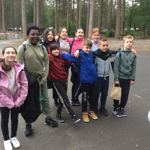 Y6 Moors Valley Trip - Go Ape
